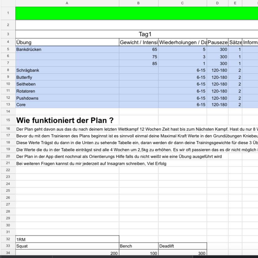 Individueller Trainings Plan für Kampfsportler