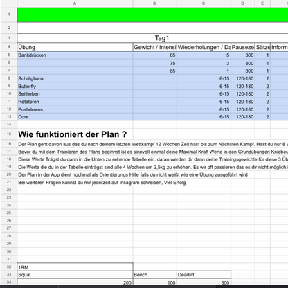 Individueller Trainings Plan für Kampfsportler