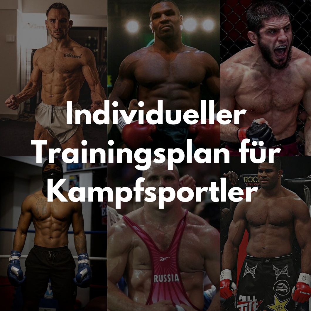 Individueller Trainings Plan für Kampfsportler